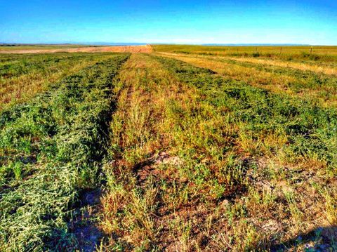 Farm in Garryowen MT 435 W Onion Creek Road.jpg