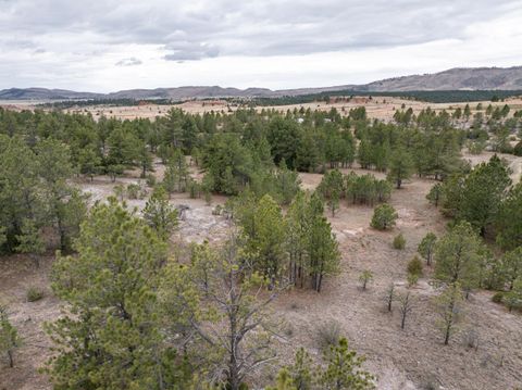 Agriculture in Custer SD TBD Timber Trail.jpg
