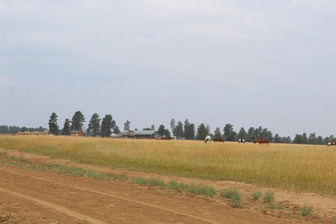 Farm in Hulett WY 371 New Haven Road.jpg