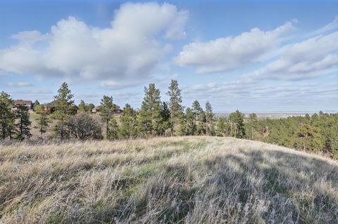 Agriculture in Rapid City SD Lot 17B W Minnesota Street.jpg
