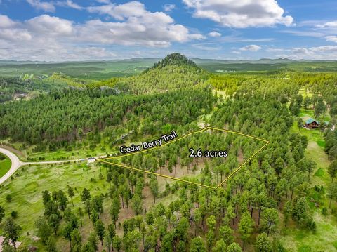 Agriculture in Custer SD TBD Lot 15 Cedar Berry Trail.jpg