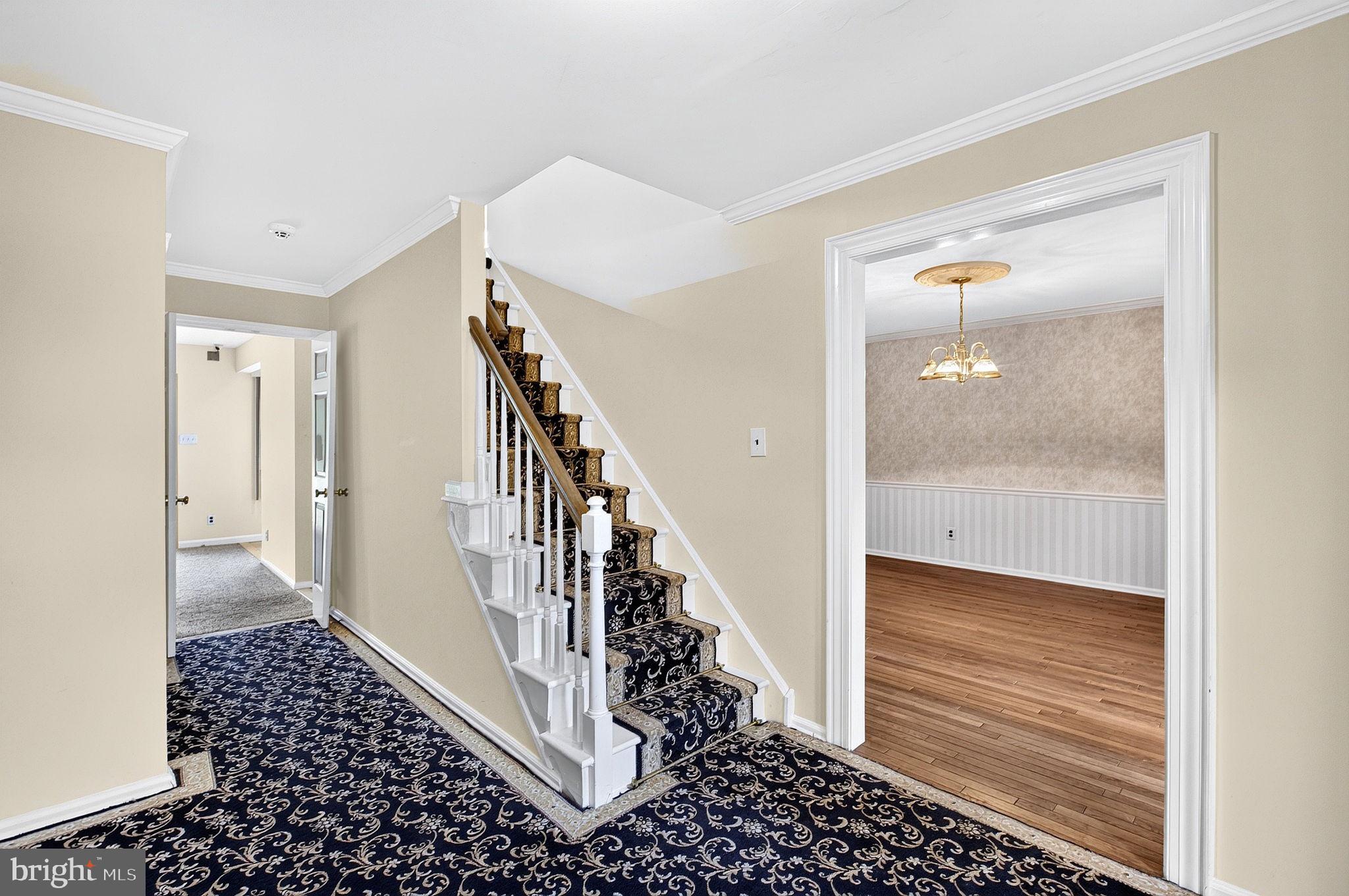 21 Winthrop Rd, Lawrenceville, NJ 08648 photo