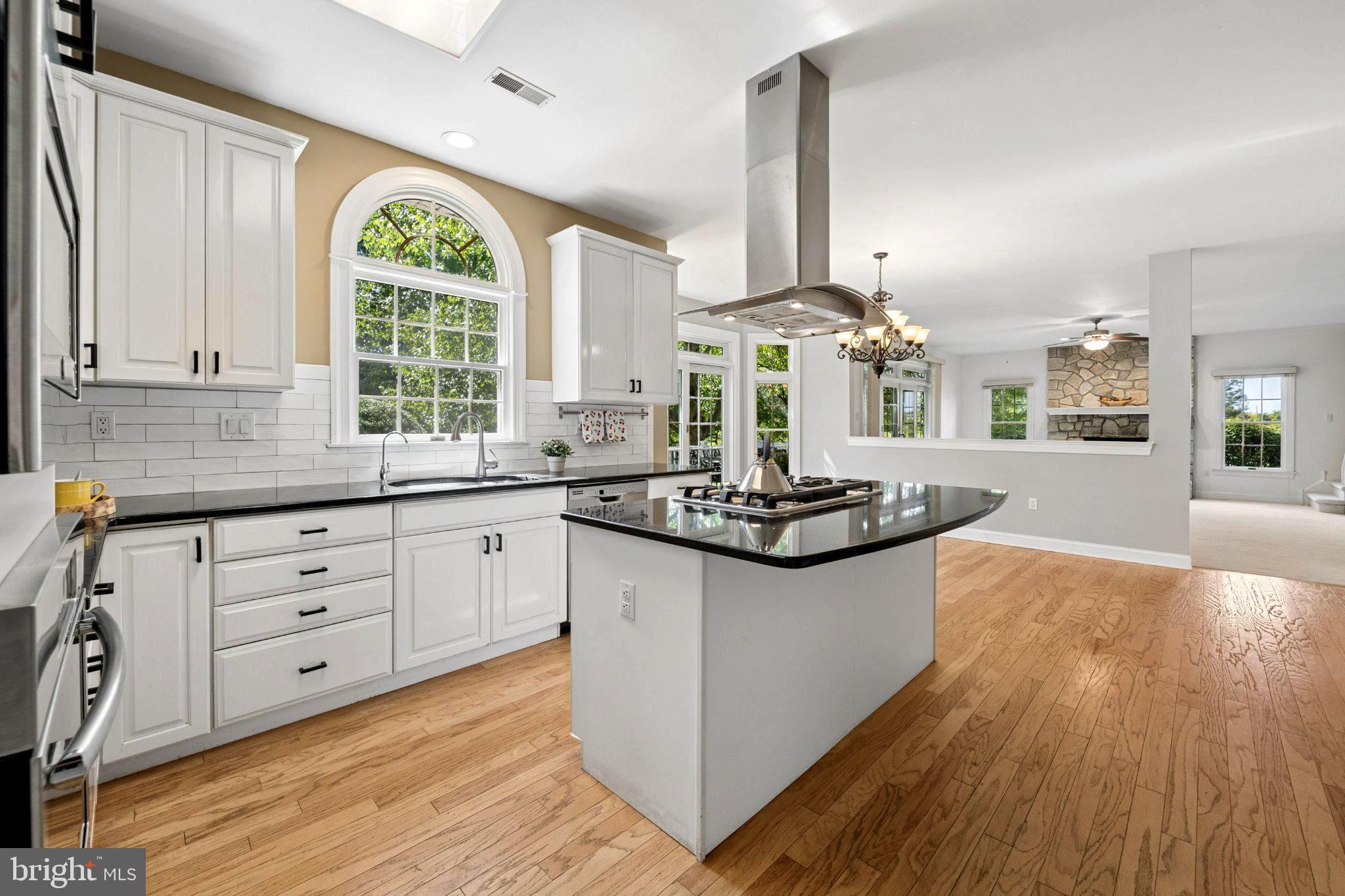 3 Dionis Ct, Pennington, NJ 08534 photo
