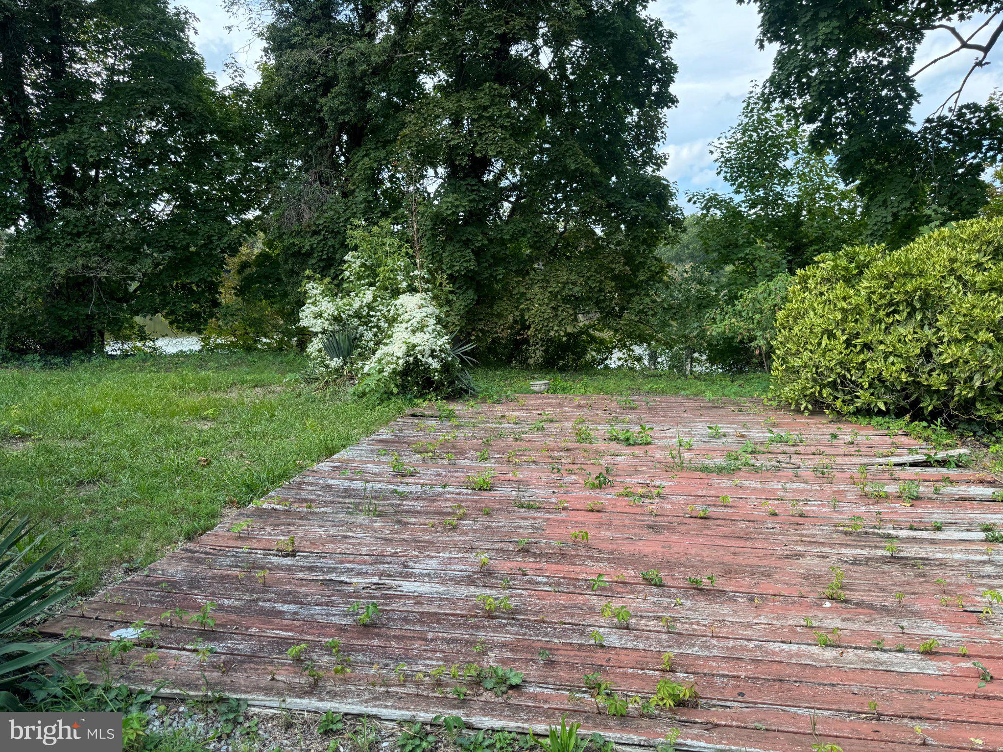 12 Church Ln, Bridgeton, NJ 08302 photo
