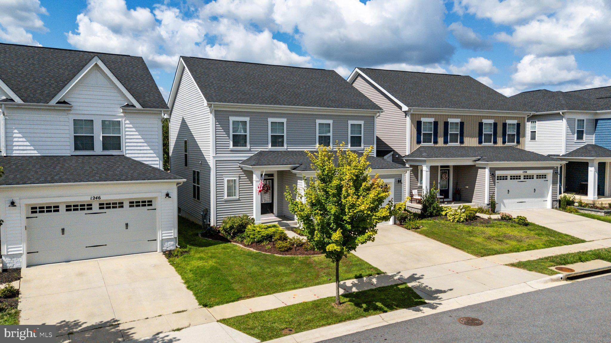 1248 Spanish Oak Way, Odenton, MD 21113 photo