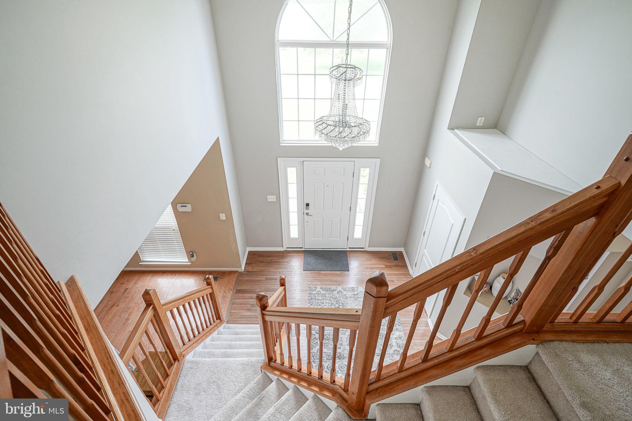 296 Rushfoil Dr, Williamstown, NJ 08094 photo