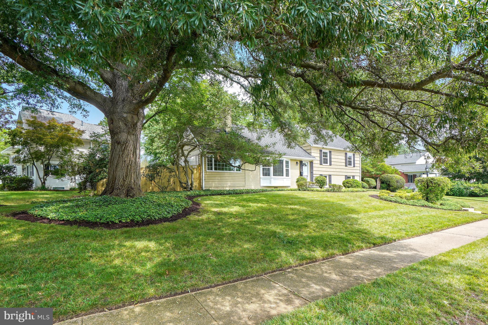 8524 Doter Dr, Alexandria, VA 22308 photo