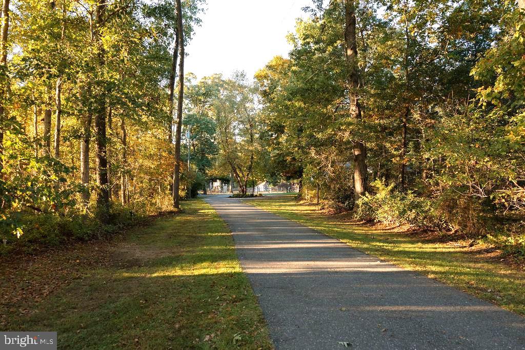 75 Parvins Mill Rd, Bridgeton, NJ 08302 photo