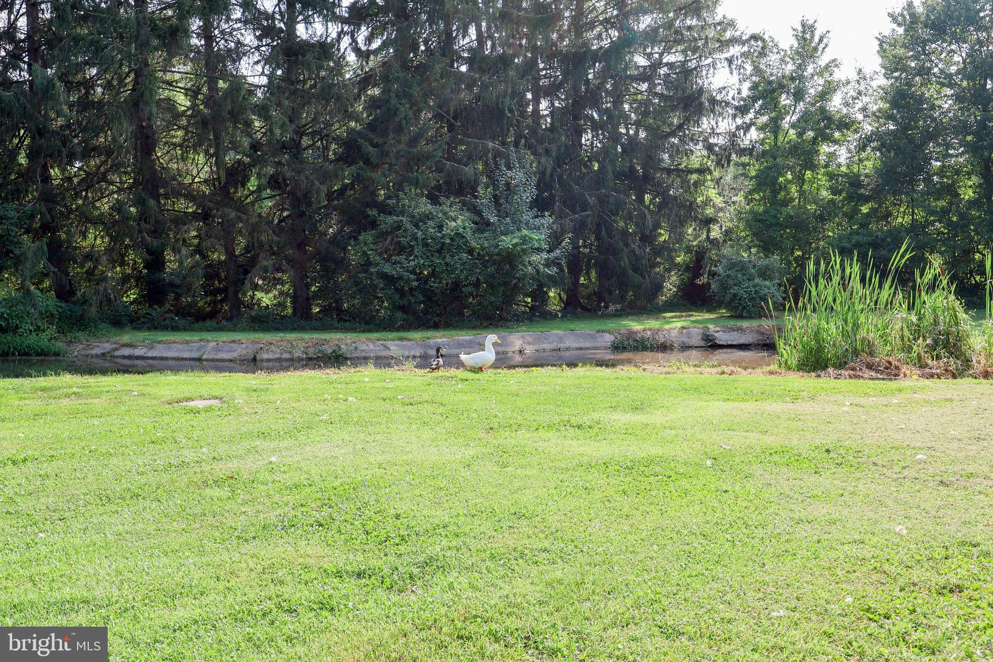 3610 Ady Rd, Street, MD 21154 photo