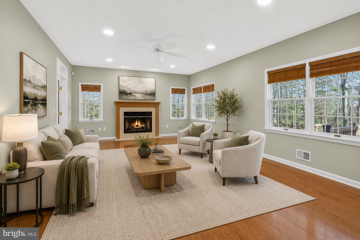 212 Monroe Ave, Belle Mead, NJ 08502 photo