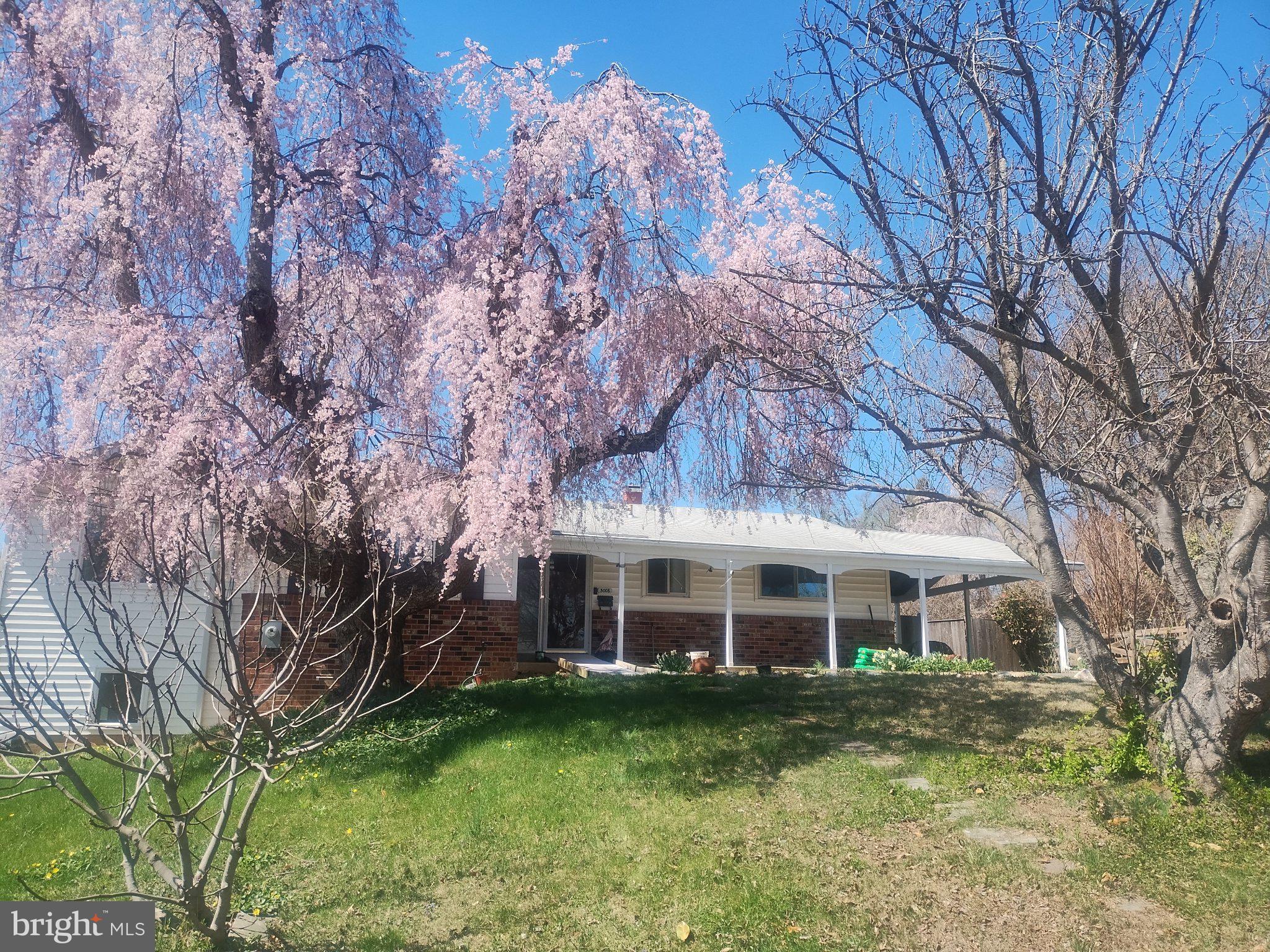 5008 Regina Dr, Annandale, VA 22003