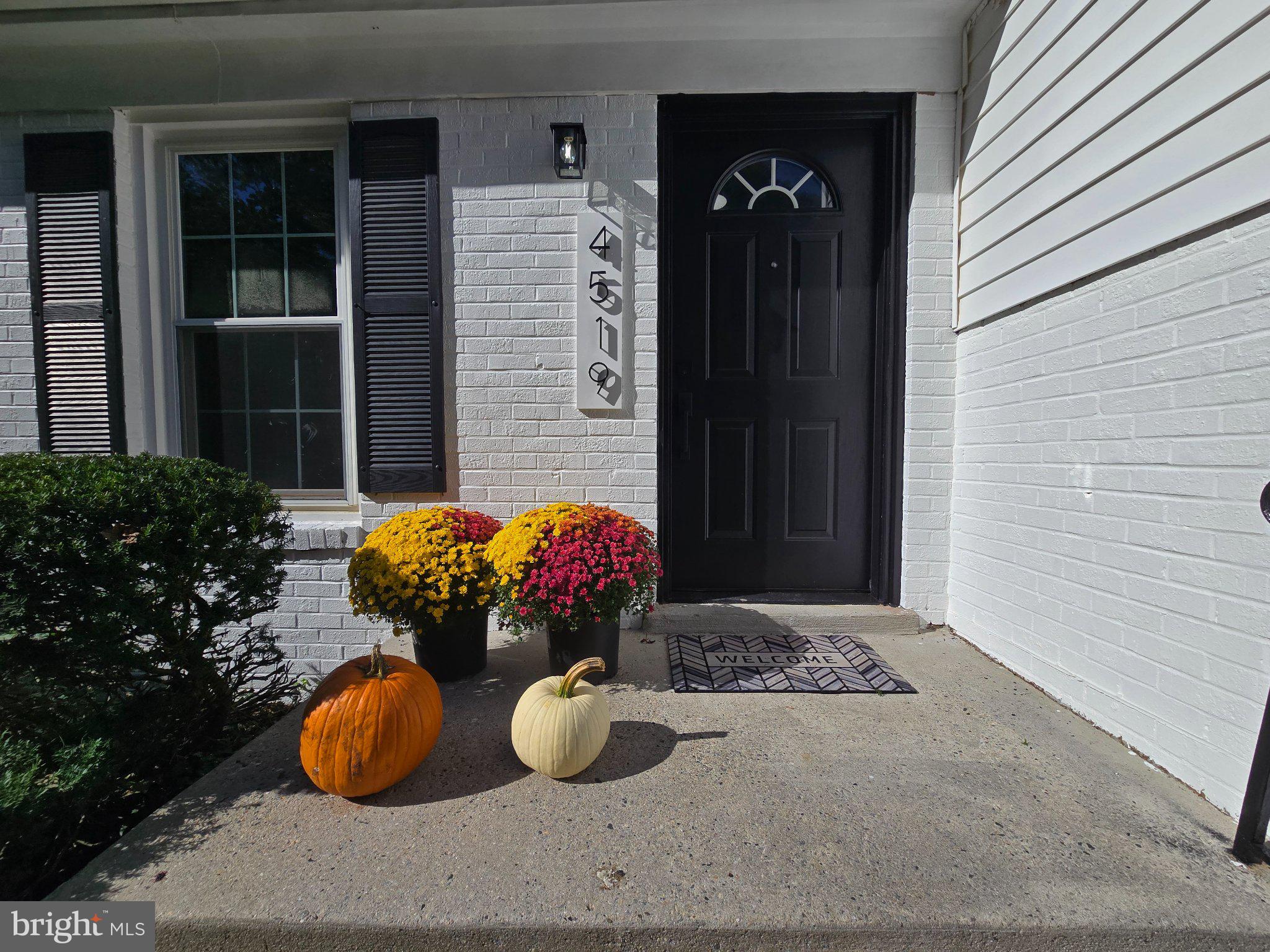 4519 Birchtree Ln, Temple Hills, MD 20748 photo