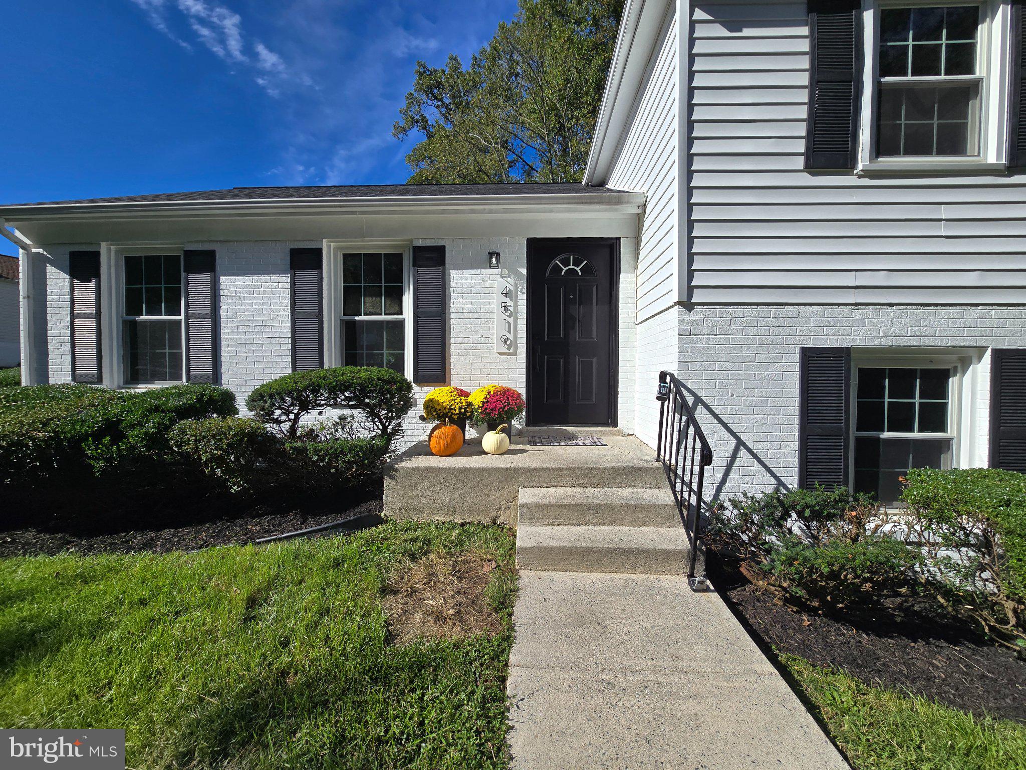 4519 Birchtree Ln, Temple Hills, MD 20748 photo