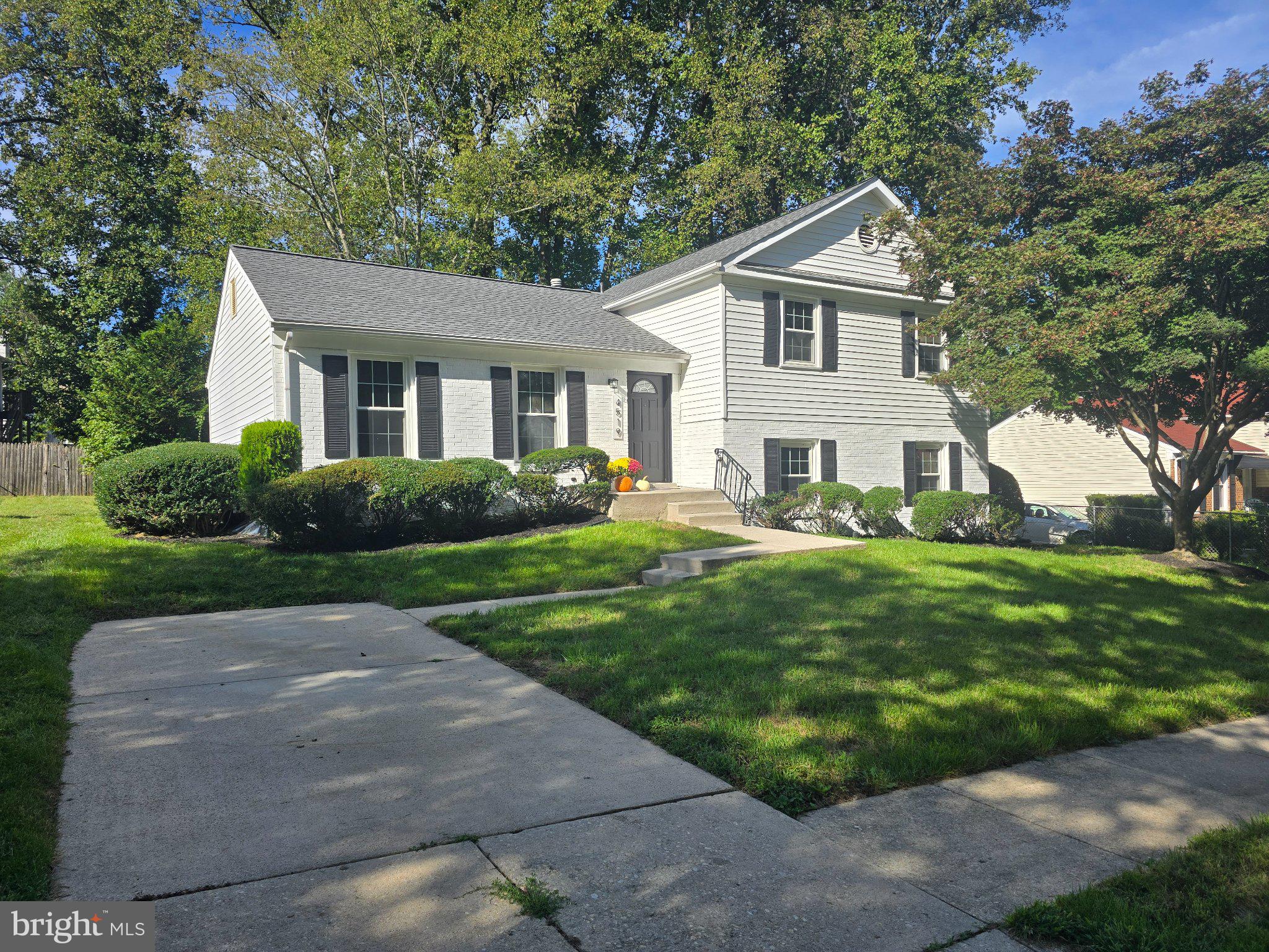 4519 Birchtree Ln, Temple Hills, MD 20748 photo