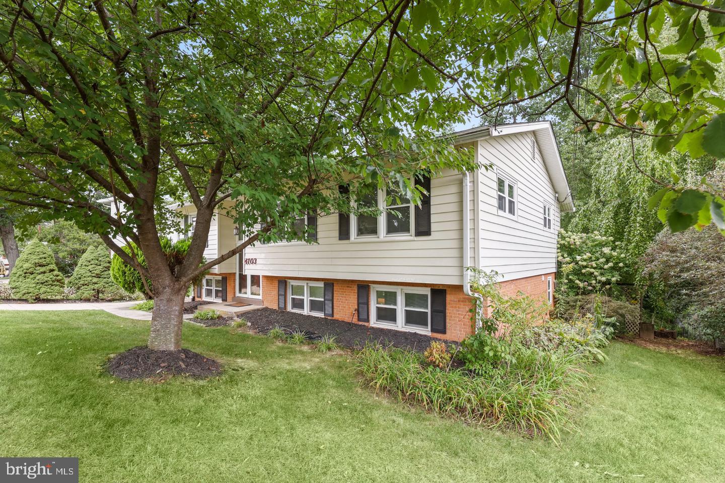 4703 Tara Dr, Fairfax, VA 22032 photo