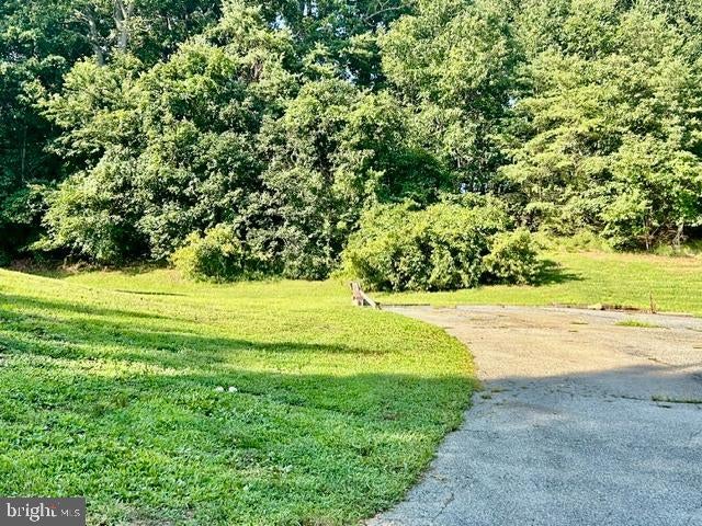 889 Union Church Rd, Elkton, MD 21921 photo