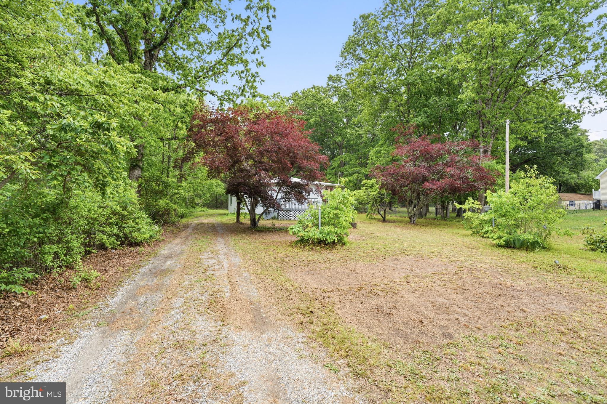 188 Carlisle Place Rd, Dorchester, NJ 08316 photo