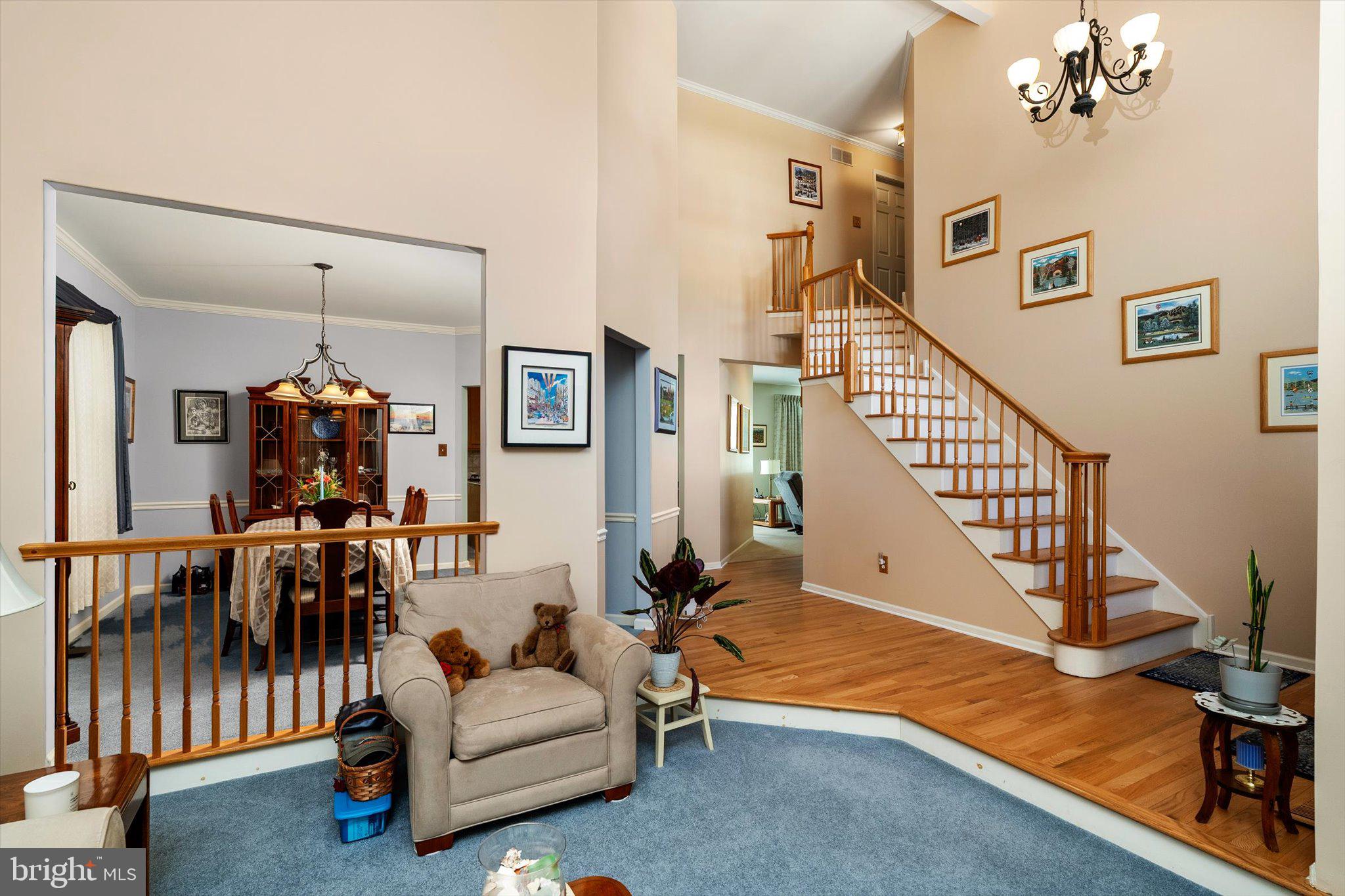 4 Bay Hill Ct, Westampton, NJ 08060 photo