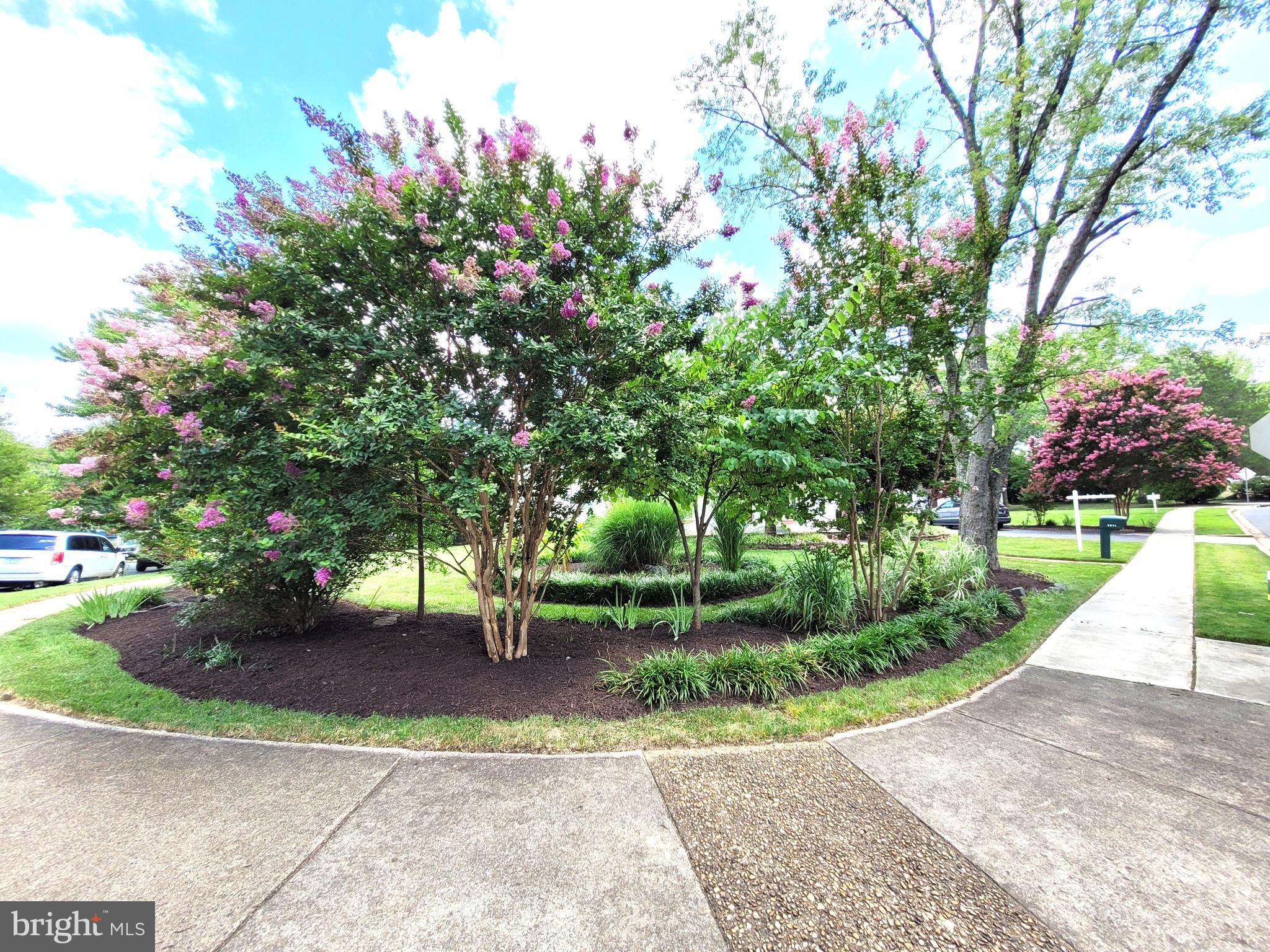 3911 Shelley Ln, Annandale, VA 22003 photo