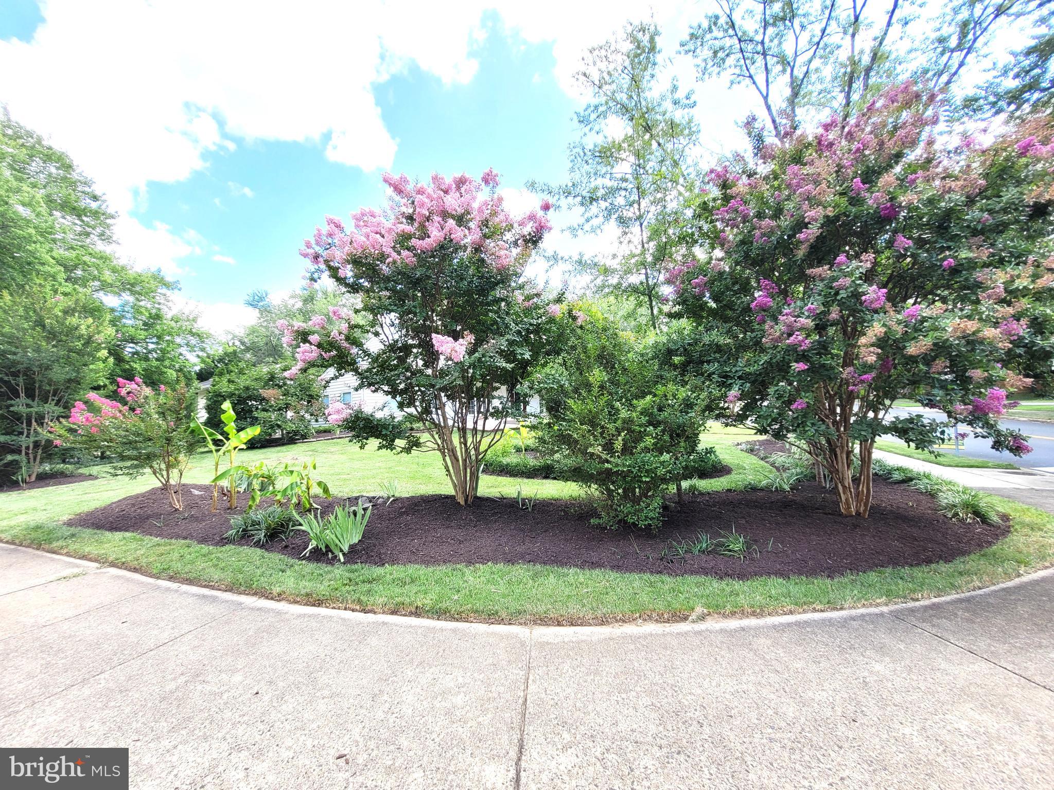 3911 Shelley Ln, Annandale, VA 22003 photo