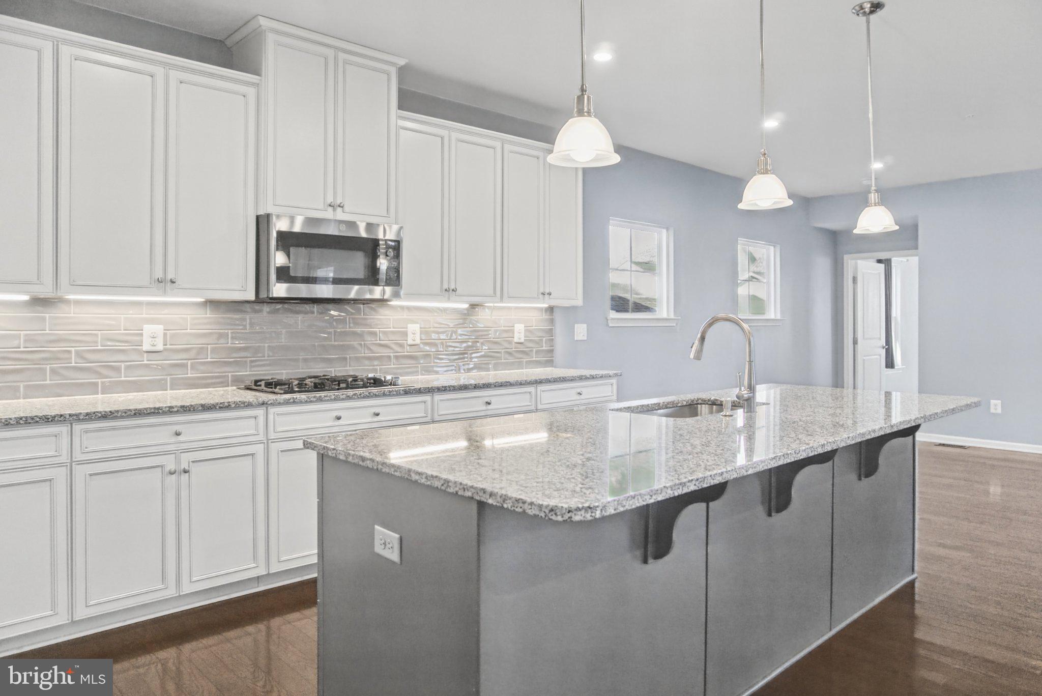 21846 Woodcock Way, Clarksburg, MD 20871 photo