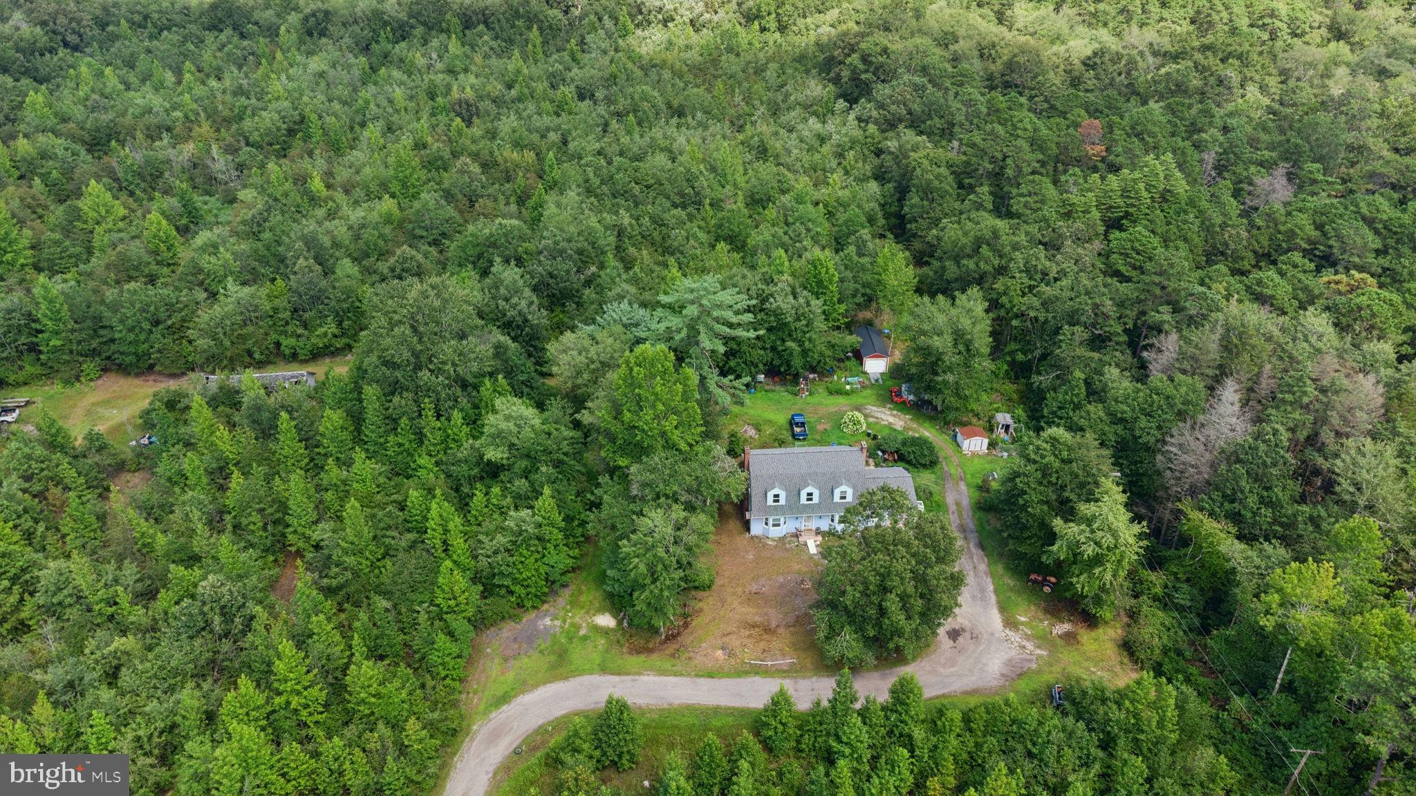 431 Magnolia Rd, Pemberton, NJ 08068 photo