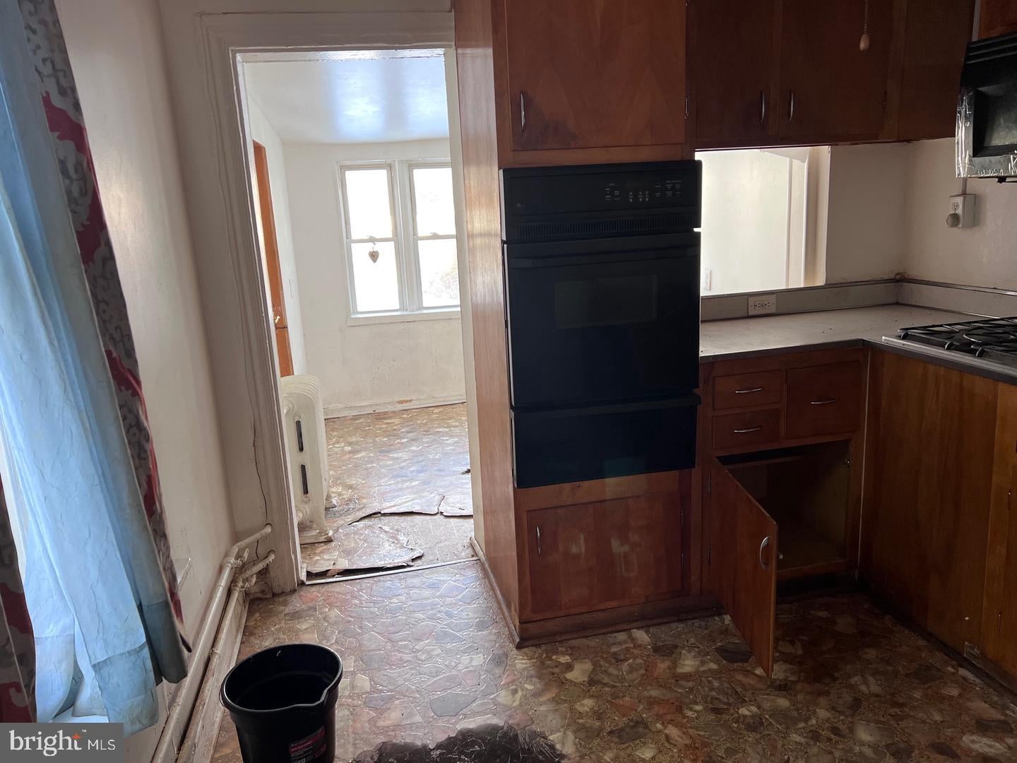119 W Haines St, Philadelphia, PA 19144 photo