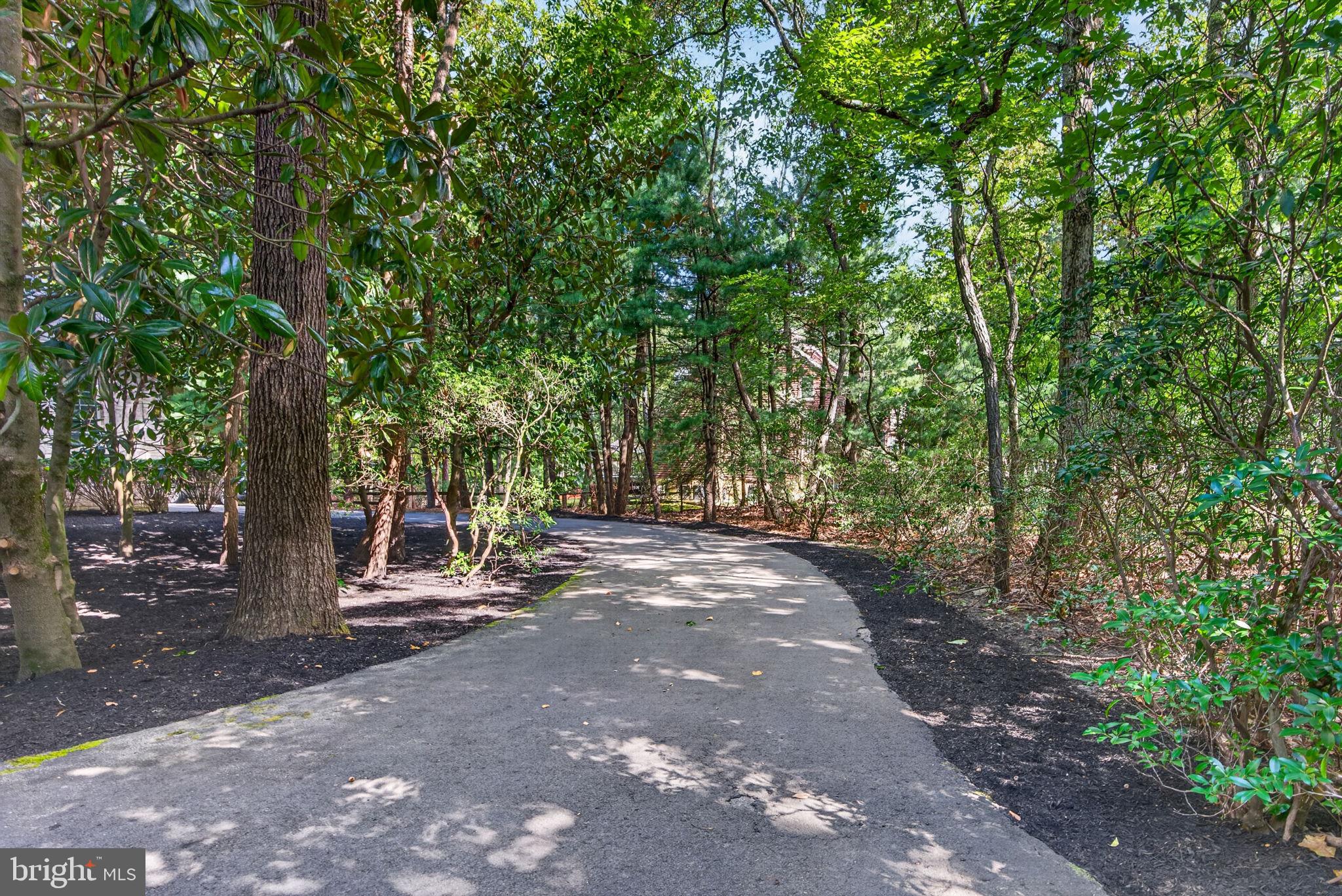 10 Slab Branch Ct, Marlton, NJ 08053 photo