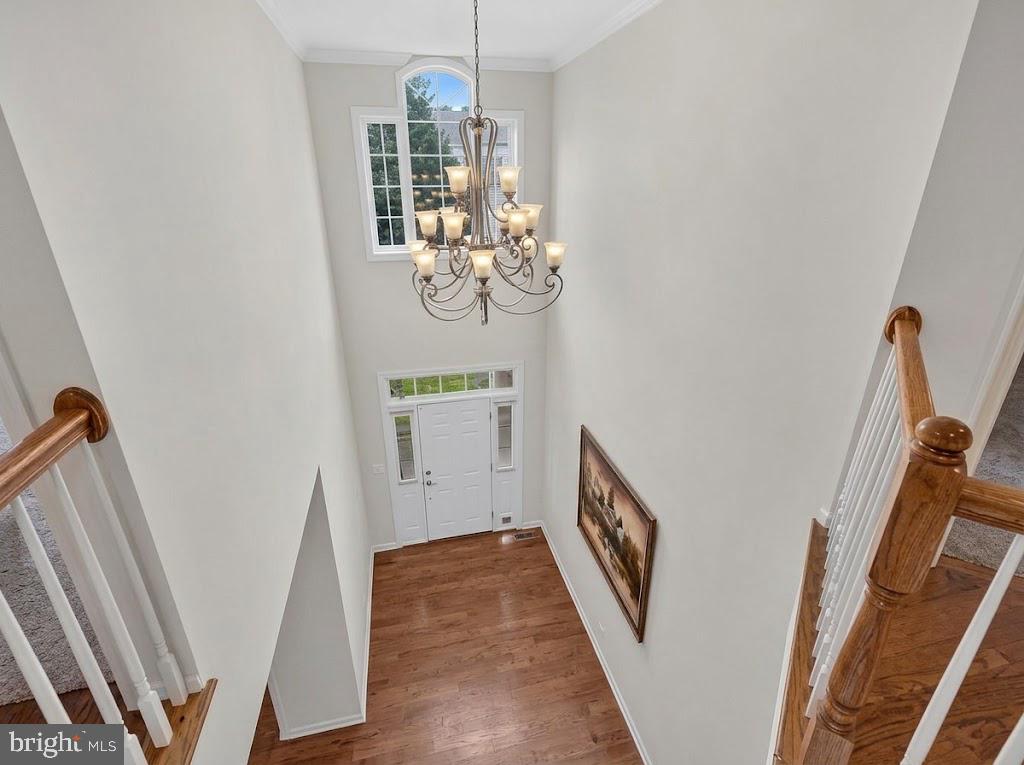 13776 Night Sky Dr, Silver Spring, MD 20906 photo