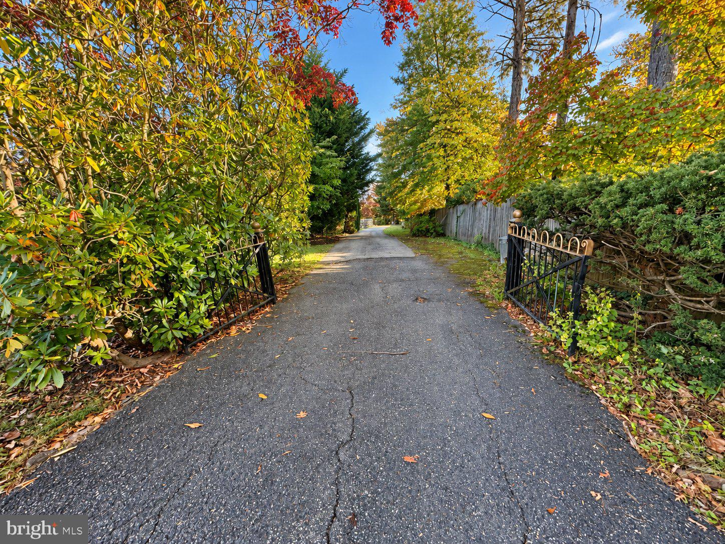 203 N Providence Rd, Media, PA 19063 photo