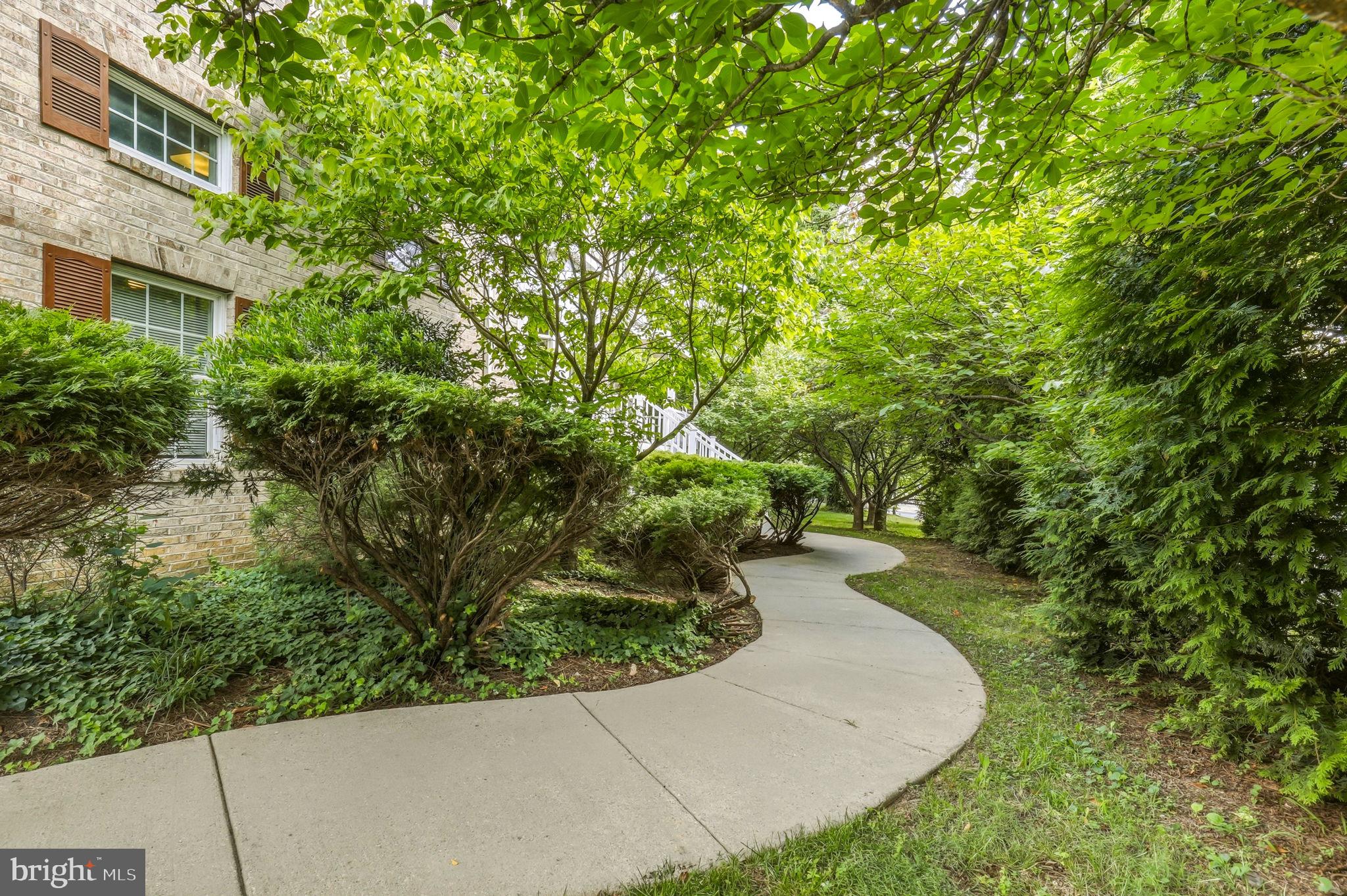 203 1st, Rockville, MD 20851 photo