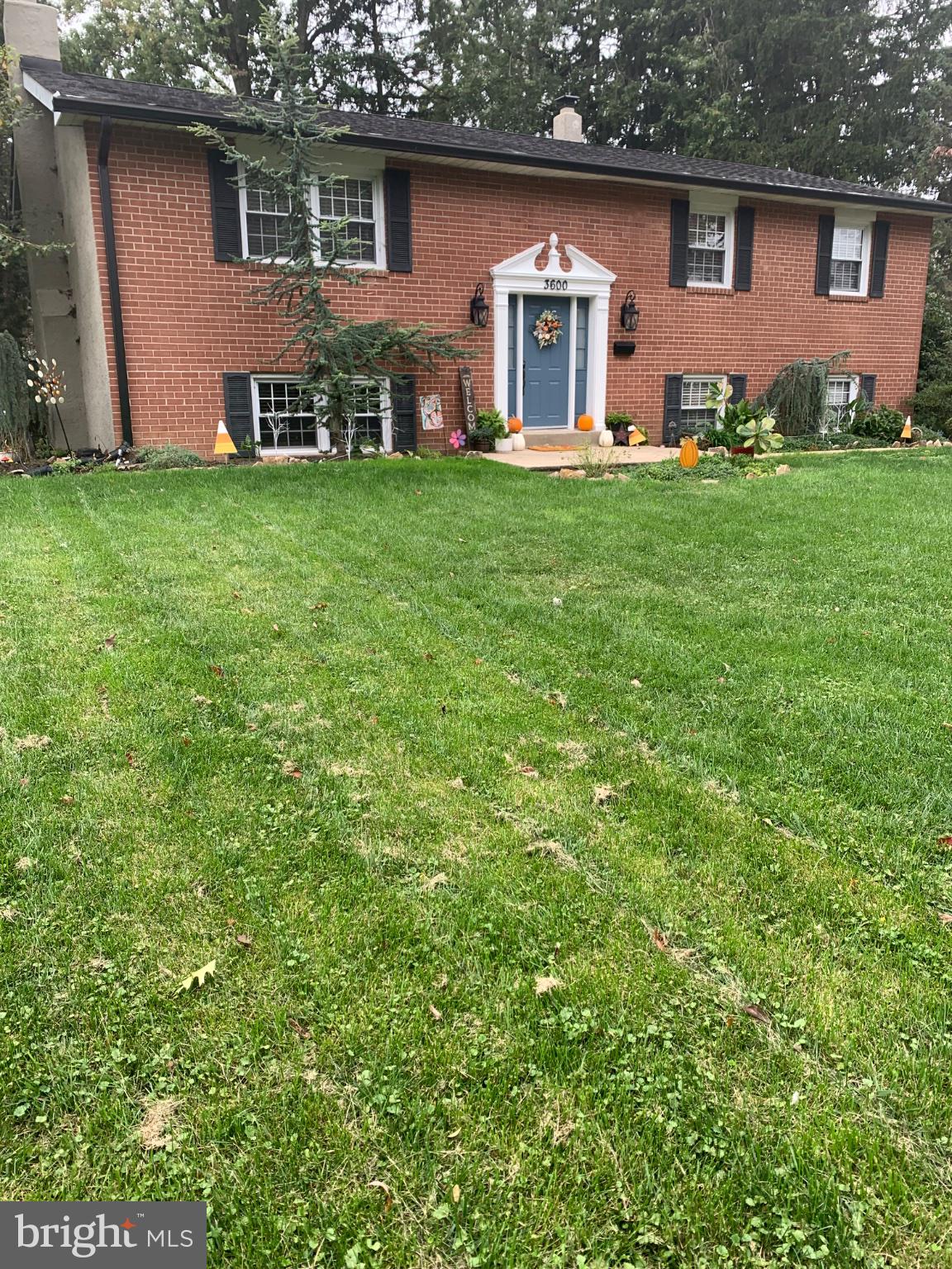 3600 Williamson Ave, Brookhaven, PA 19015