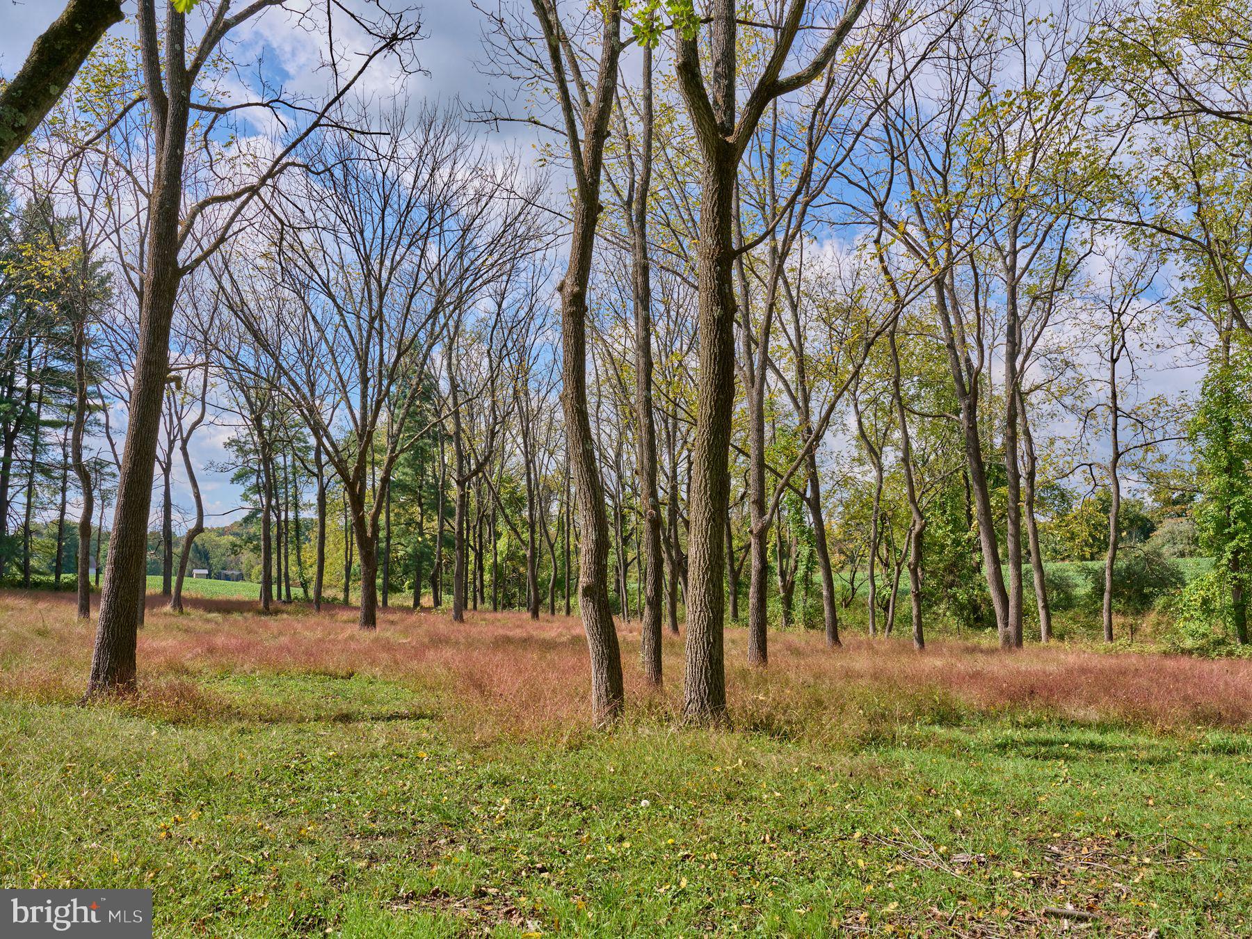 6321 Saw Mill Rd, New Hope, PA 18938