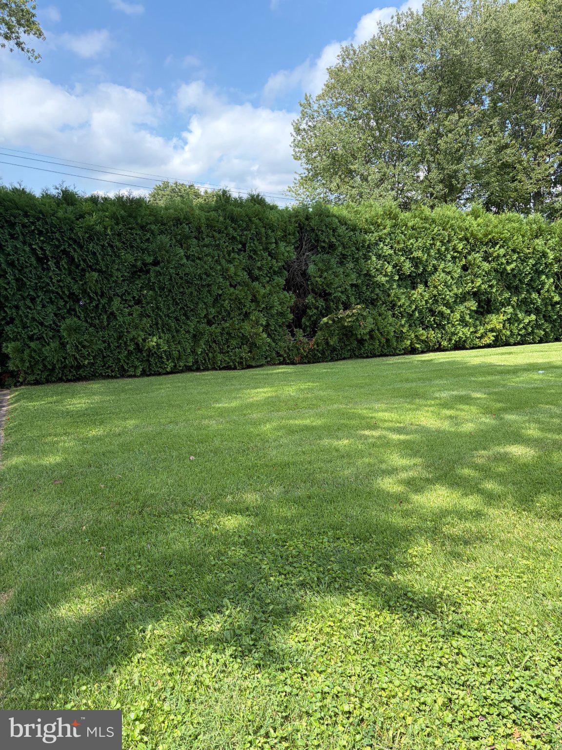 303 Hermitage Dr, Elkton, MD 21921 photo