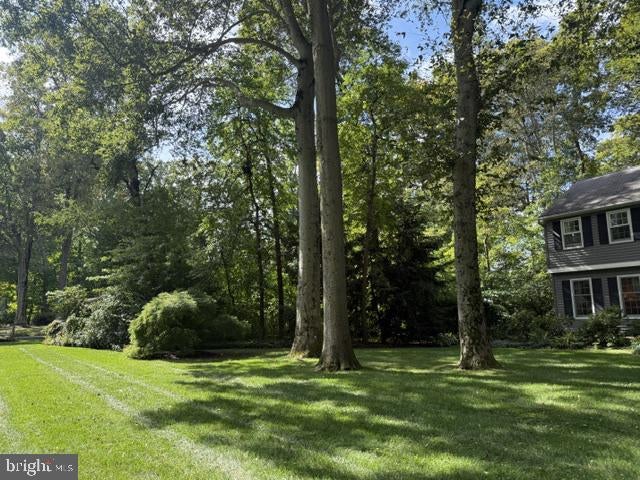 11 Beechtree Ln, Plainsboro, NJ 08536 photo