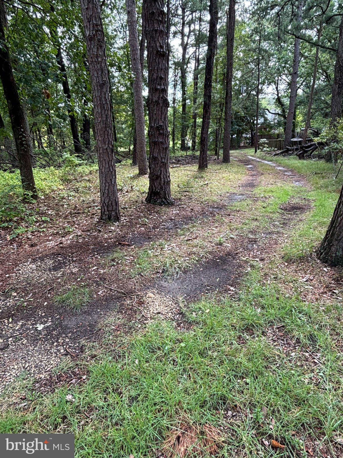956 New Brooklyn Rd, Sicklerville, NJ 08081 photo