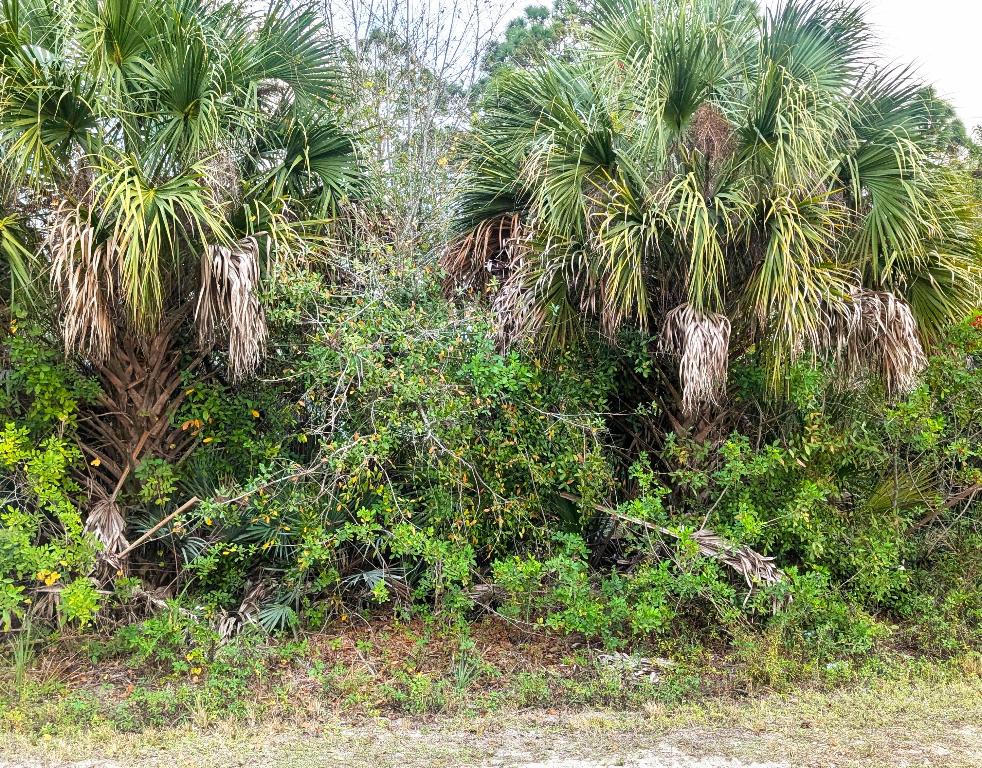 12885 86 St, Fellsmere, FL 32948