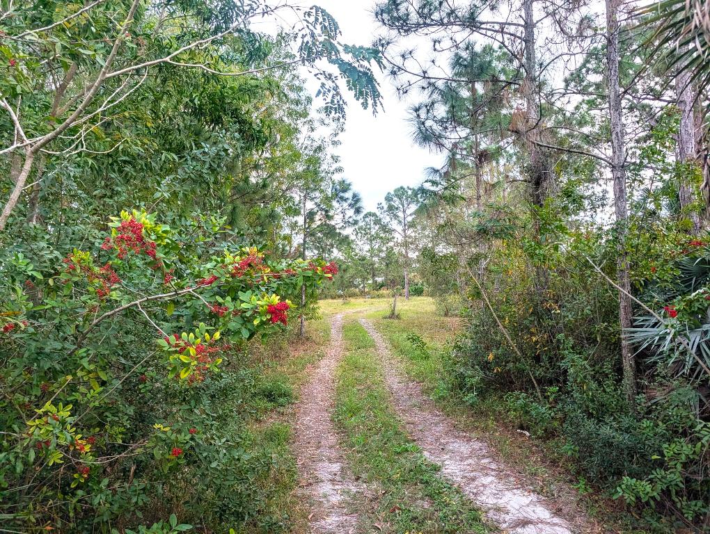 8590 130 Ave, Fellsmere, FL 32948