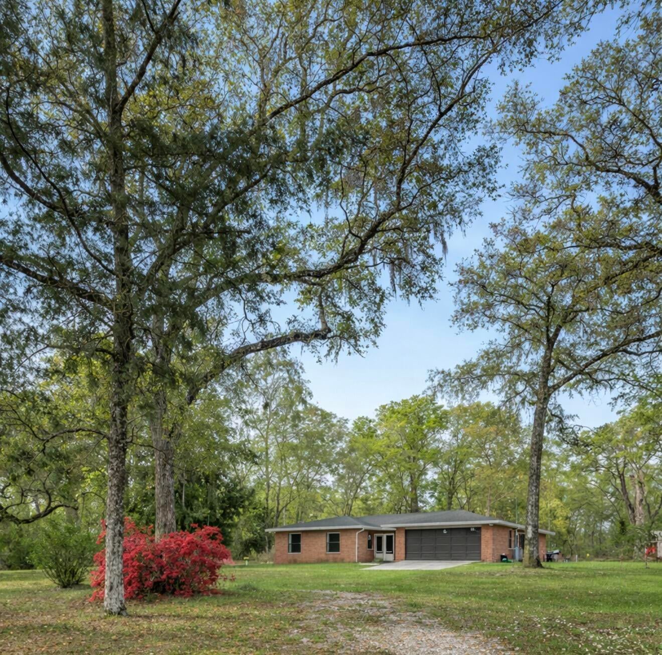 26250 Blackjack St, Brooksville, FL 34601 photo