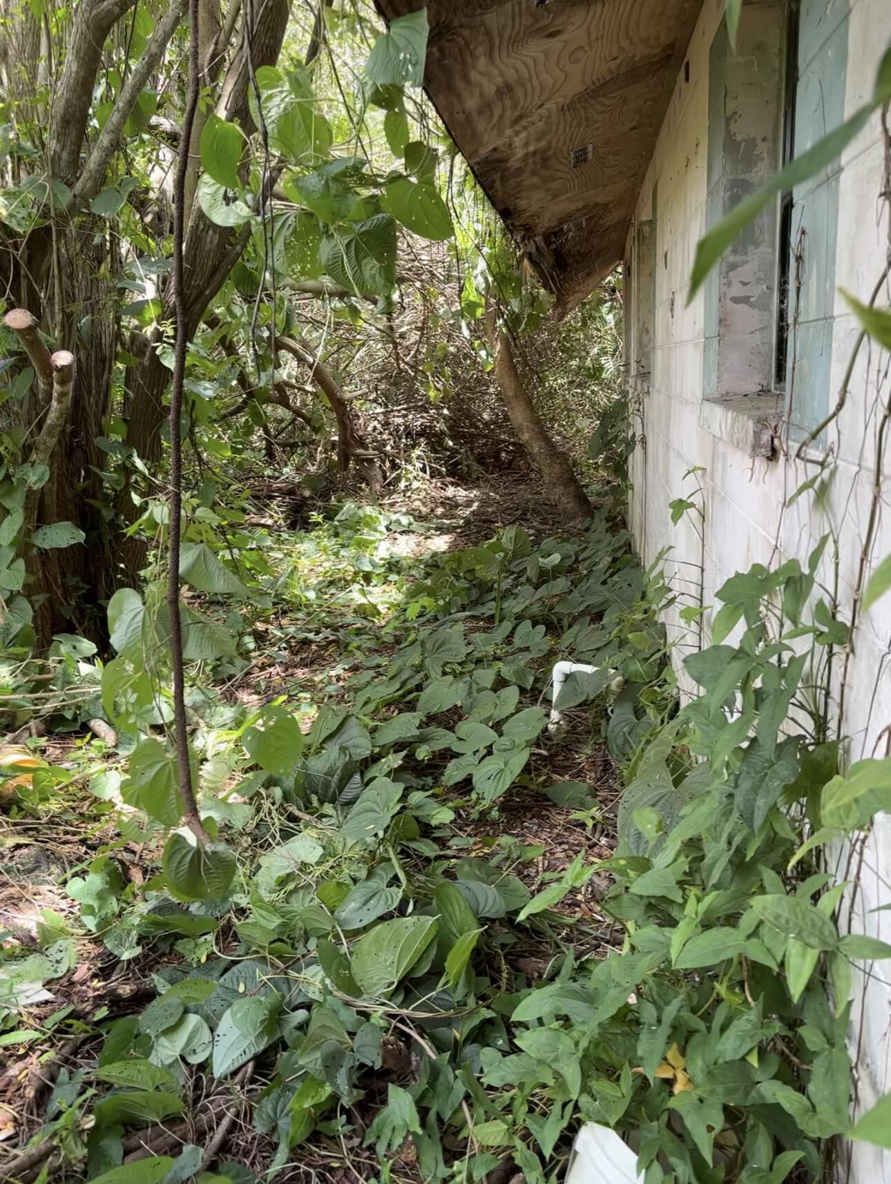 8365 63 Ave, Vero Beach, FL 32967 photo