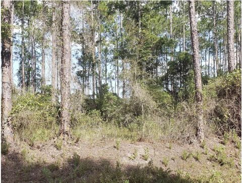 Single Family Residence in Hastings FL 10235 Amos Avenue.jpg