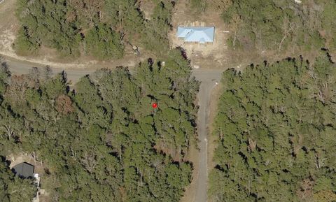 Single Family Residence in Ocklawaha FL Tbd Guava Pass.jpg