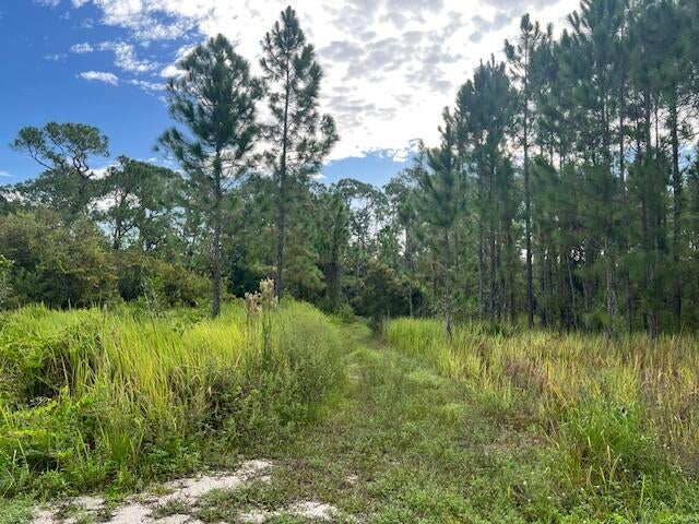 1137 Greenfield St, Lake Placid, FL 33852 photo