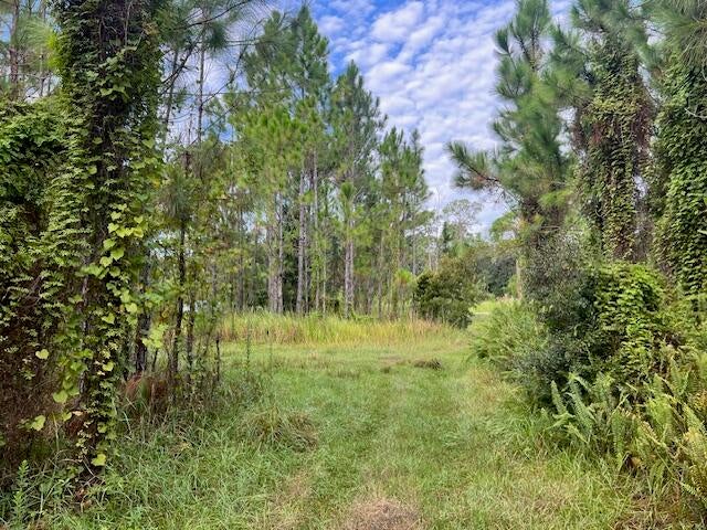 1137 Greenfield St, Lake Placid, FL 33852 photo
