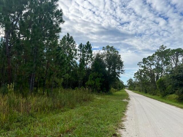 1137 Greenfield St, Lake Placid, FL 33852 photo