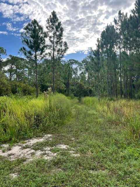 1137 Greenfield St, Lake Placid, FL 33852 photo