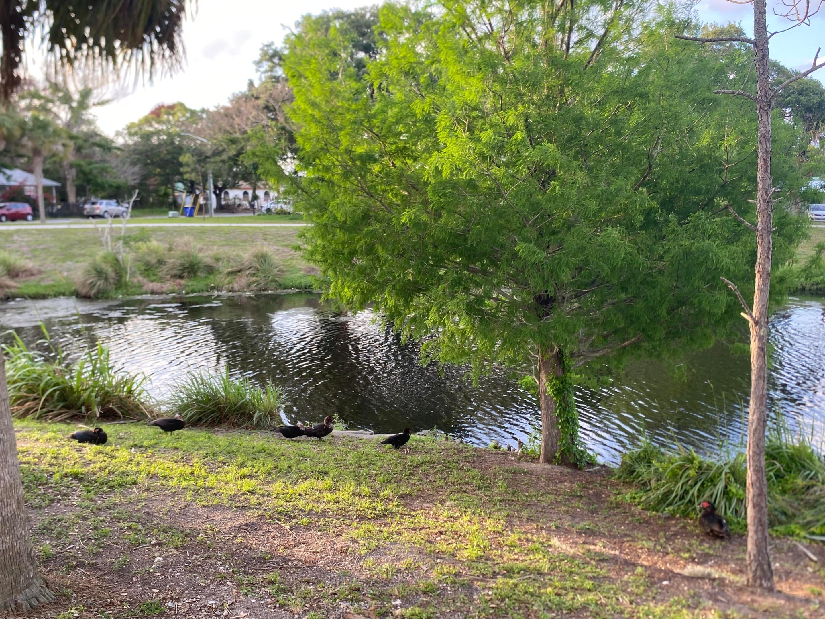 319 N 11 St, Fort Pierce, FL 34950 photo