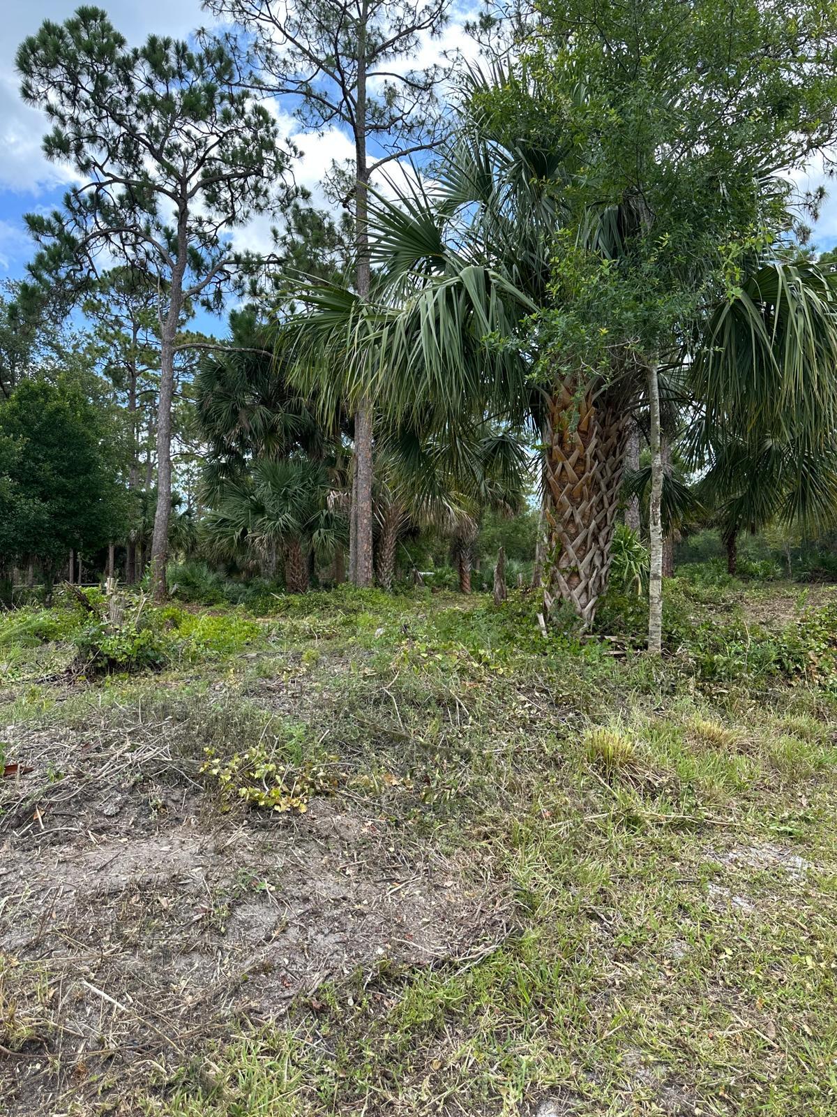 10620 91 St, Vero Beach, FL 32967 photo