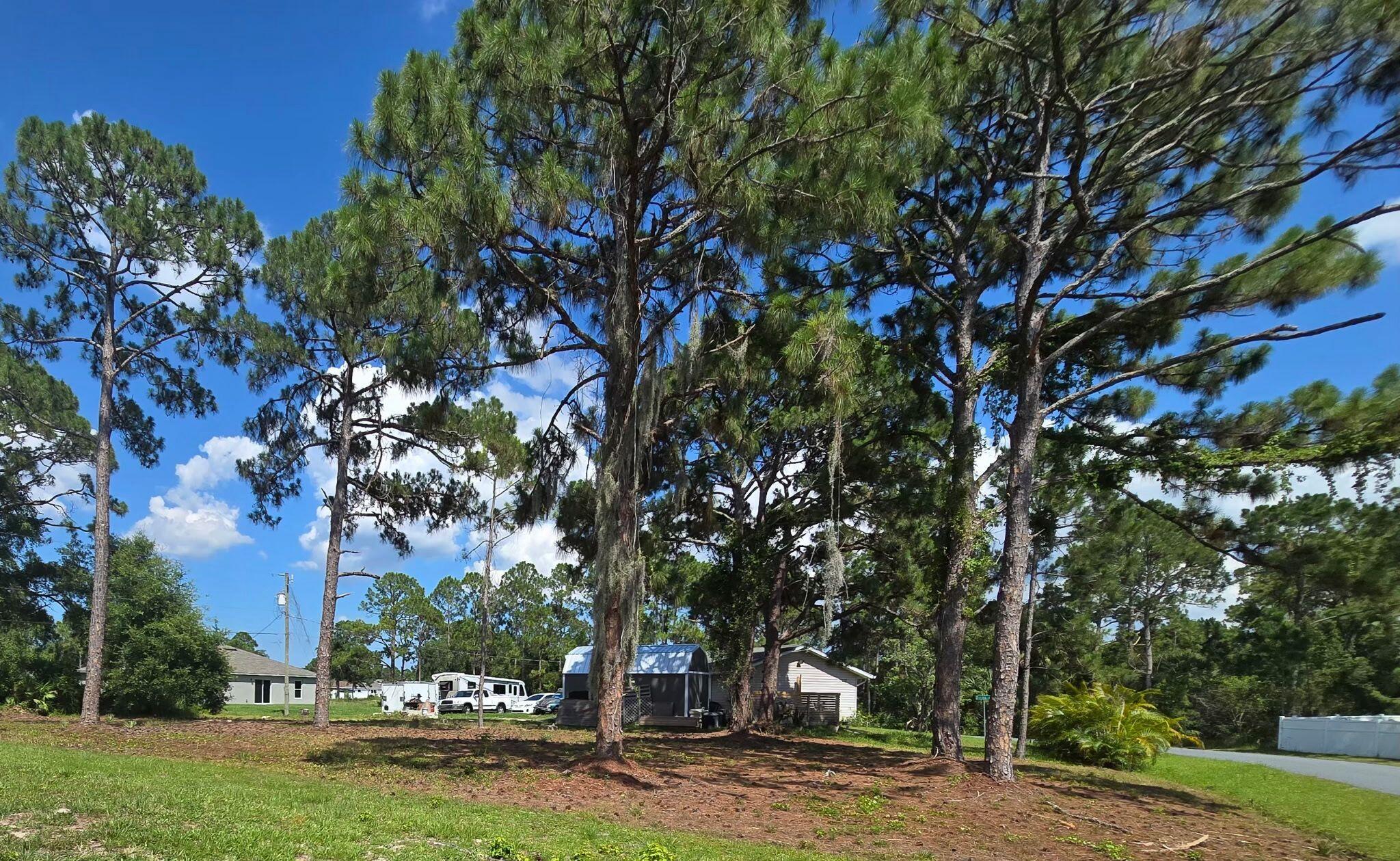1979 Thomasville Ave, Palm Bay, FL 32909 photo