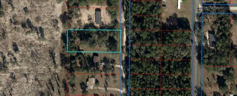Single Family Residence in Bronson FL 00 NE 100th Court.jpg